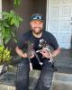 Mike is single in Huntington Beach, CA USA