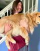 Sawyer is single in Plymouth, MI USA