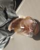 Jake is single in Batesville, IN USA