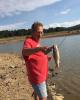 David is single in Hotchkiss, CO USA