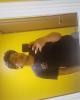 Kleber is single in Mission, TX USA