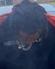 Lamont is single in Kathleen, FL USA