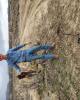 Levi is single in Price, UT USA