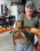 John is single in Frankfort, ME USA