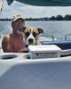 Jeff is single in Houghton Lake, MI USA