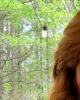 Jeanette is single in Lexington, NC USA