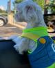 Sherry is single in Tuscaloosa, AL USA