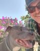 Serge is single in Hercules, CA USA