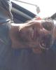 Maktub is single in Roxbury Crossing, MA USA