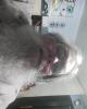 Larry is single in Chiefland, FL USA