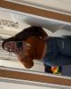 Jasmine is single in Ocean Springs, MS USA