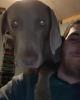 Tyler is single in West Mifflin, PA USA