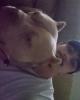 Quentin is single in Garland, TX USA