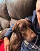 Mike is single in Orland Park, IL USA