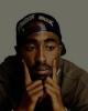 Bossman is single in Benton Harbor, MI USA