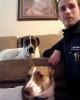 Gregory is single in Monroe, WI USA