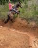 Case is single in Russellville, AL USA