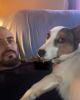 Dennis is single in Robesonia, PA USA