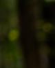 Marie is single in Saint-Hippolyte, QC CAN