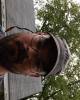 Mark is single in Churchton, MD USA