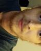 Chase is single in La Marque, TX USA