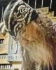 Helmuth is single in Victorville, CA USA