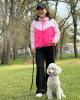Ling is single in Santa Clara, CA USA
