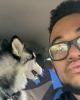 Isander is single in East Pennsboro, PA USA