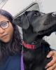 Ashfia is single in Lacey, WA USA
