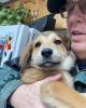 Dave is single in Port Elgin, ON CAN