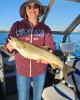 Kathy is single in Fleet, AB CAN