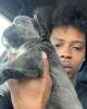Jermarius is single in Pine Bluff, AR USA