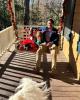 Jared is single in Wilkesboro, NC USA