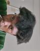 Reed is single in Wilmington, DE USA