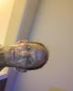 David is single in Fort Meade, FL USA