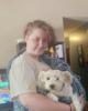 Adeyn is single in Grove City, OH USA