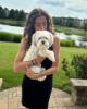 Brittney is single in Algonquin, IL USA