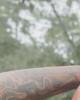 Justin is single in Lumberton, NC USA