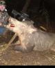 Blake is single in Formoso, KS USA