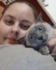 Sheena is single in Broadway, VA USA