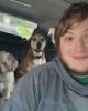 Liam is single in Devon, PA USA