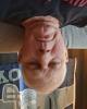 Paul is single in Harviell, MO USA