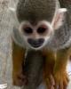 Ricky is single in Hartwell, GA USA