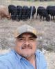 Bob is single in Marion, TX USA
