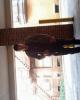 Timothy is single in York, PA USA