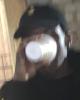John is single in Simpsonville, MD USA