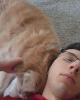 Mikey is single in Chippewa Falls, WI USA