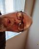 Jimmy is single in Augusta, AR USA