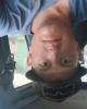 Chance Peper  is single in Chelsea, OK USA