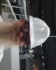 Lewis is single in Saint Ann, MO USA